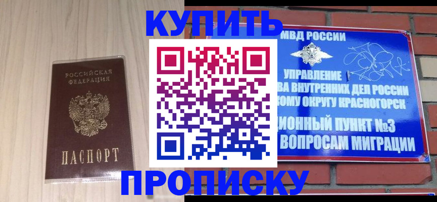 временная регистрация для всех в Амурской области